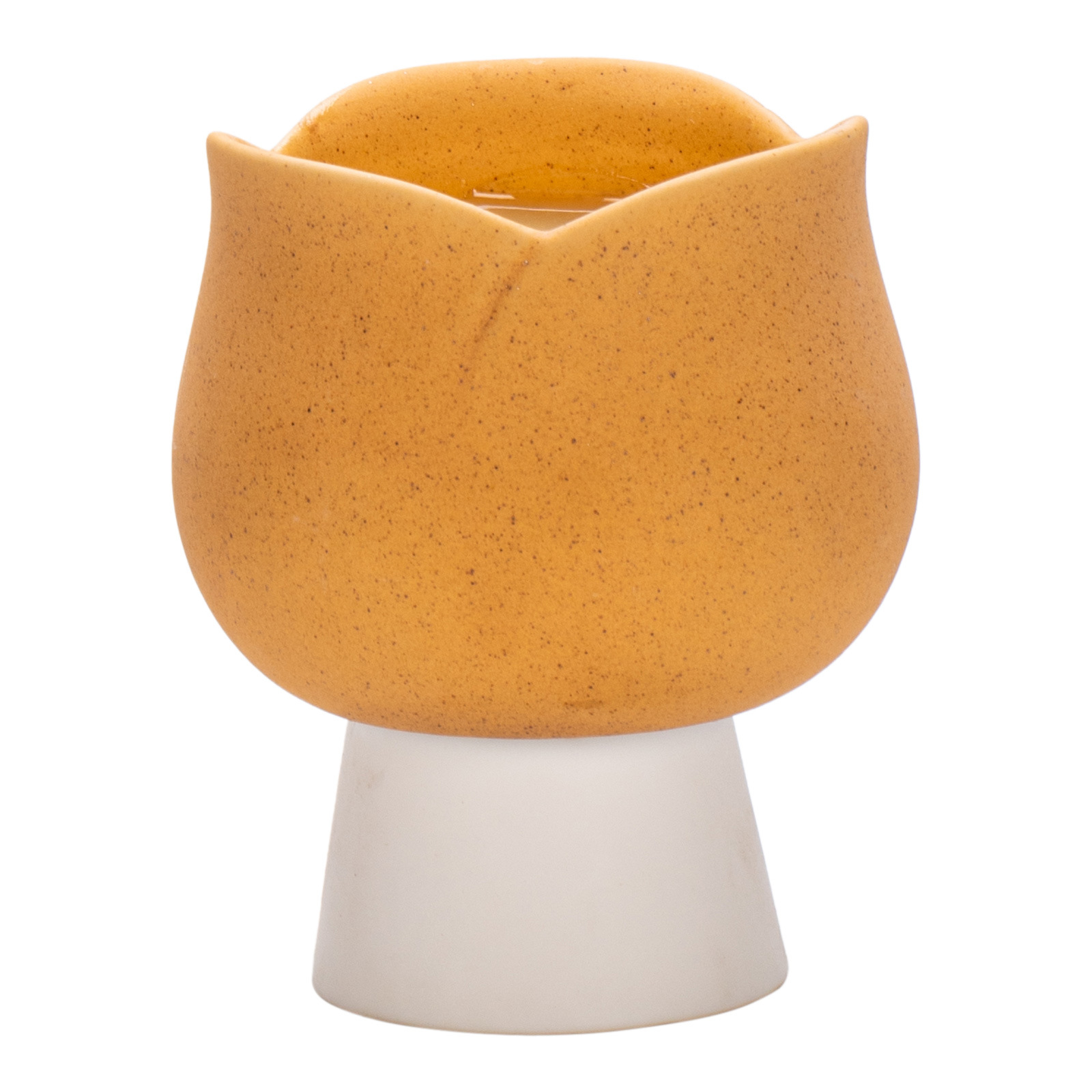 Europa Mooie Tulpen Keramische - Candle Supplies Europe recensie en prijs